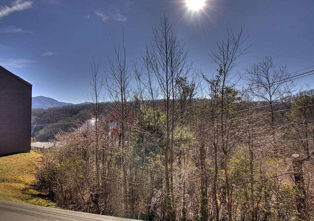 Mountain views stretch across the horizon beyond leafless trees in this peaceful neighborhood setting.
