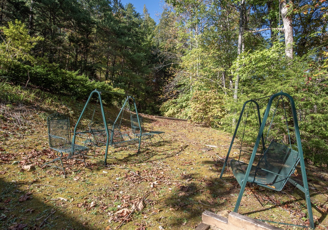 An inviting outdoor play area nestled among towering trees, featuring swings where kids can soar above soft ground on sunny afternoons.