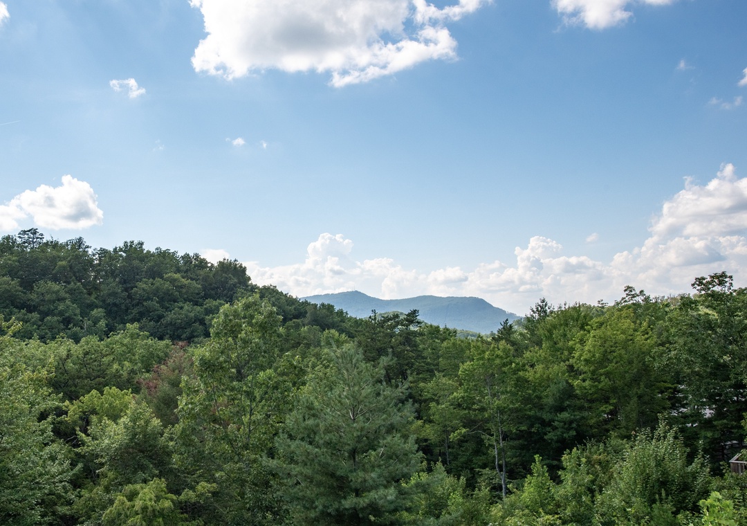 Surrounded by lush forest with distant mountain peaks under a bright summer sky. A peaceful natural setting frames the property.