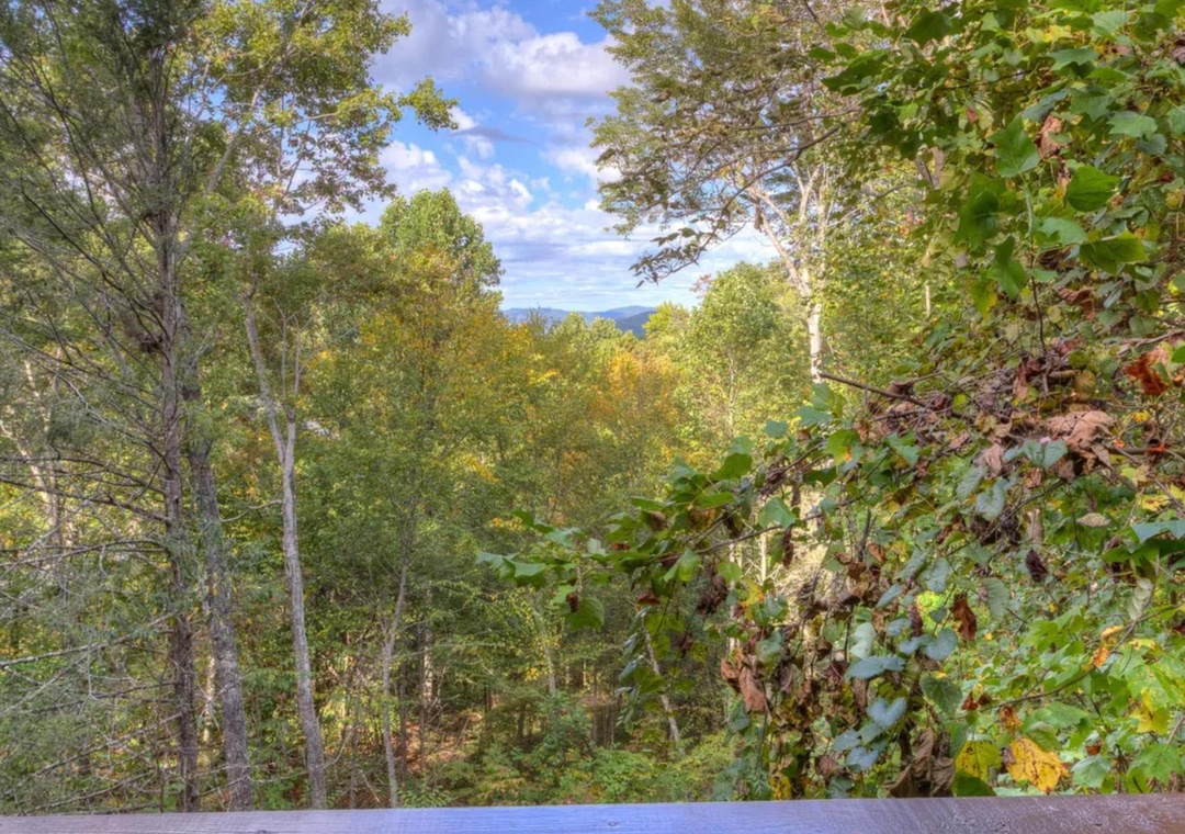 Natural landscape surrounding the property features lush forests and distant mountain vistas, offering a peaceful setting.