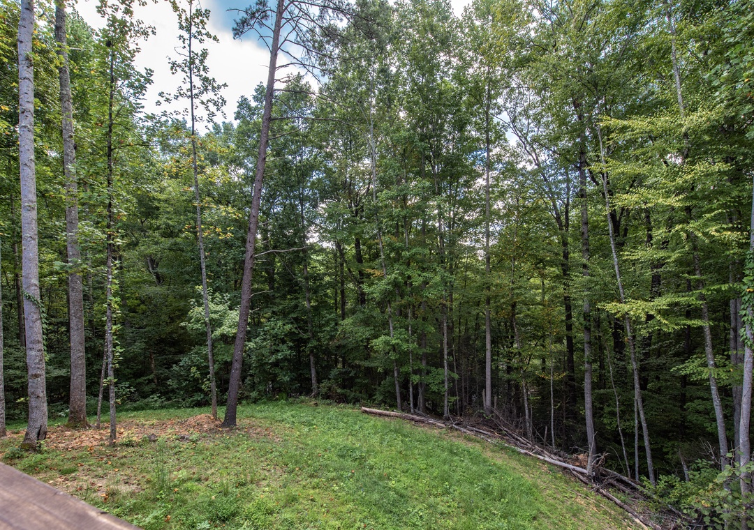 The property is surrounded by lush forest and natural landscape, offering a tranquil wooded setting for a peaceful retreat.