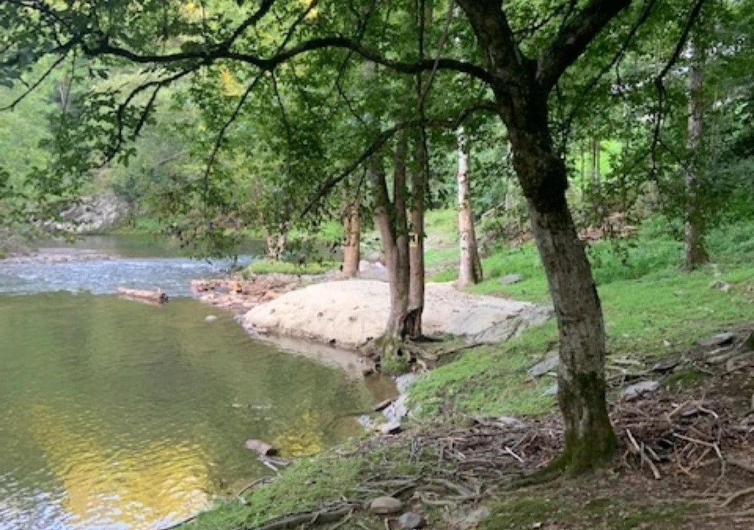 Tranquil river winds through mature trees and natural landscapes near the property.