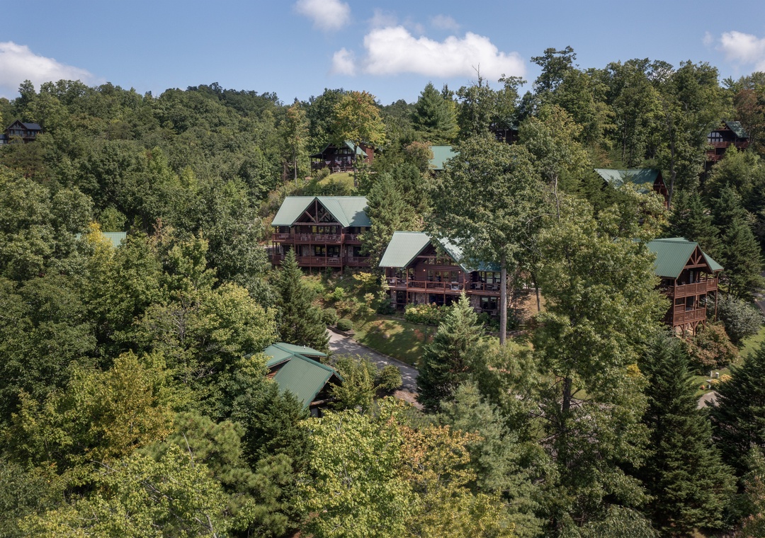 Aerial view of mountain cabins nestled among dense forest canopy with green metal roofs and natural woodland surroundings.