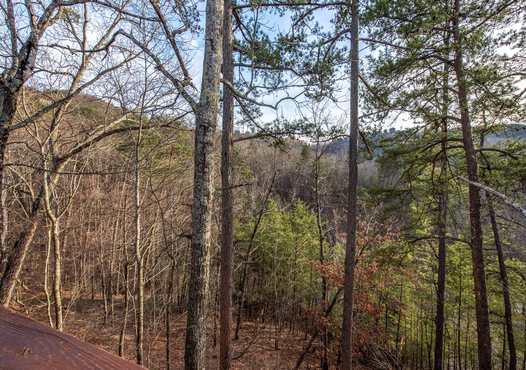 Mountain views stretch endlessly through towering trees, creating a peaceful forest backdrop for the property's natural setting.