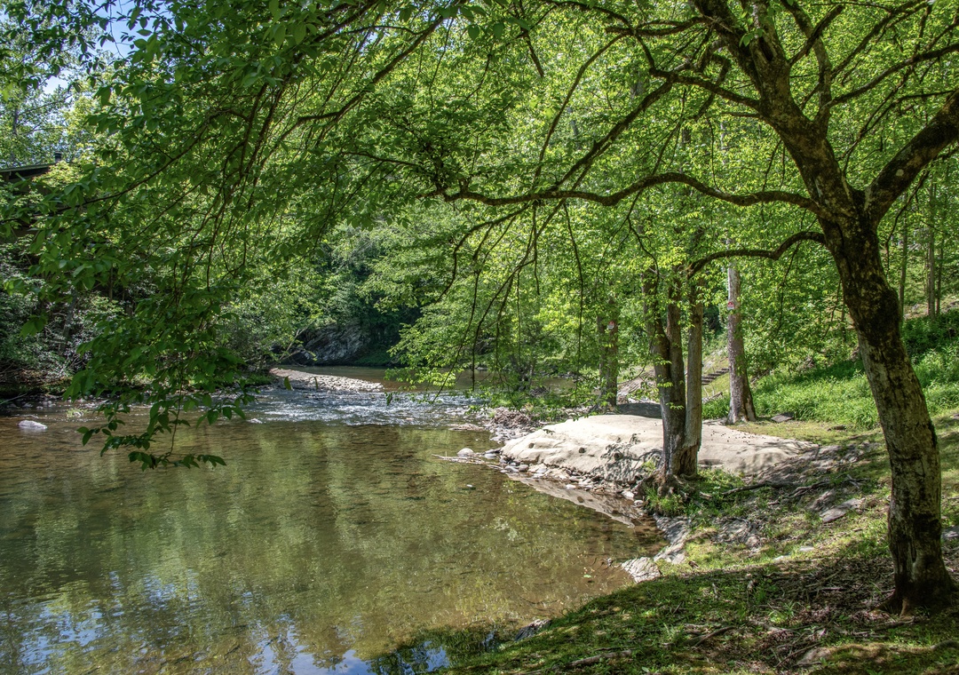39-31_RiverVibes