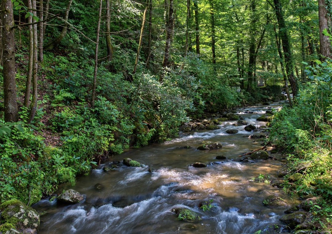 A tranquil forest stream flows through the lush natural landscape surrounding the property, offering a peaceful backdrop for your woodland retreat.