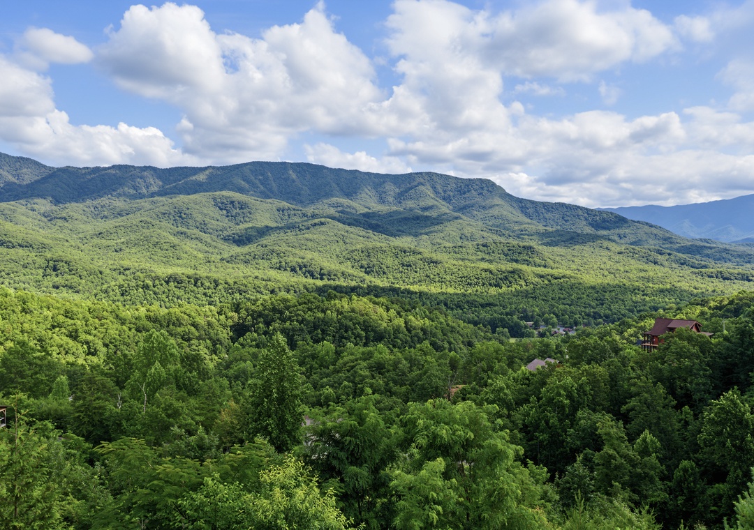 Sweeping mountain vistas stretch across lush forested hills beneath a dramatic sky, showcasing the stunning natural landscape surrounding the property.