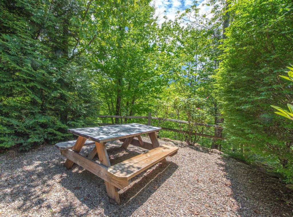 Escape to your private forest retreat where dappled sunlight filters through towering trees onto your secluded picnic table.