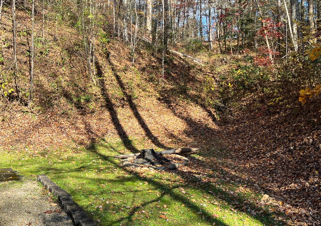 A peaceful wooded hillside with autumn colors creates a natural backdrop near the property.