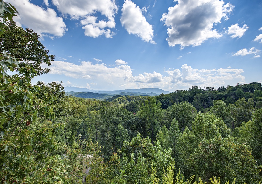 The property offers sweeping views of lush forest canopy and distant mountain ridges under a brilliant summer sky—an idyllic natural setting for your getaway.