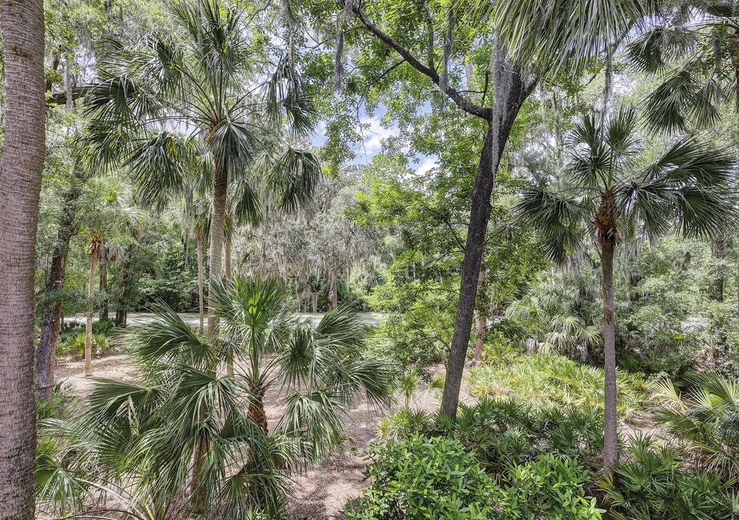 View from Private Balcony