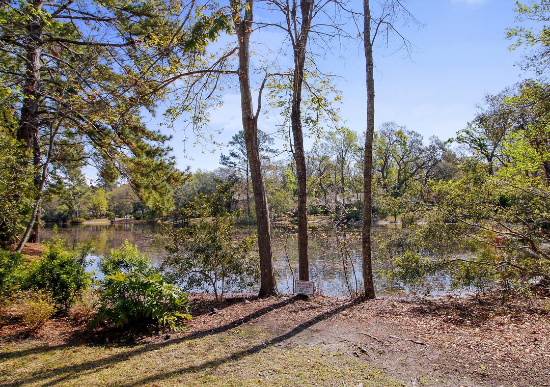 Water View from Yard
