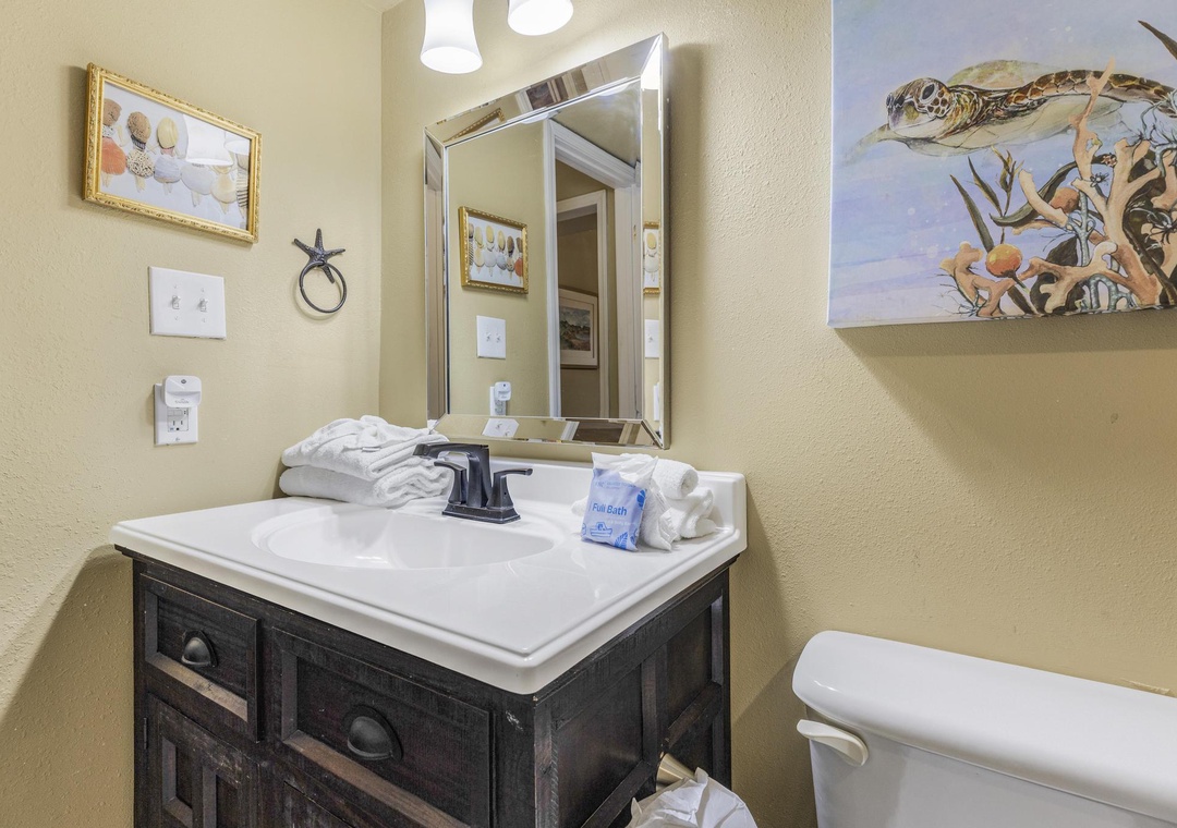 Guest bathroom