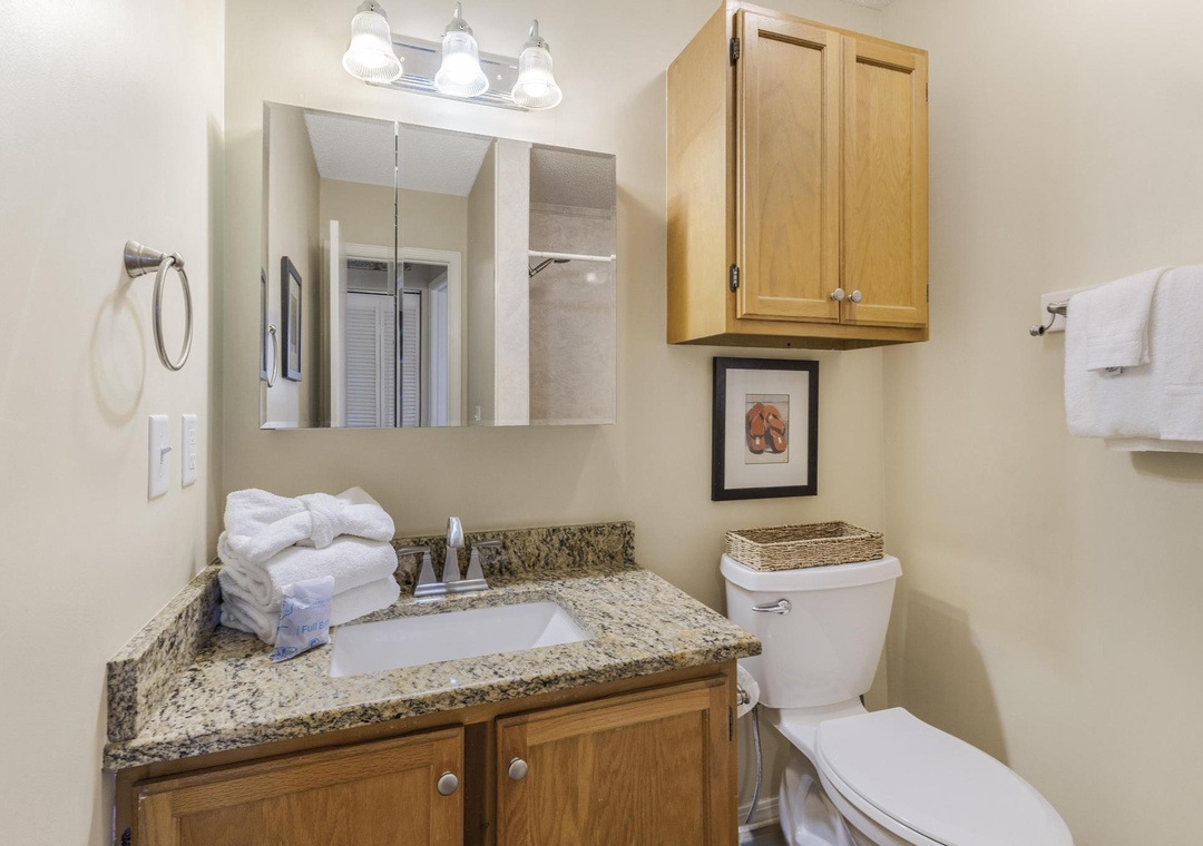 Guest bathroom
