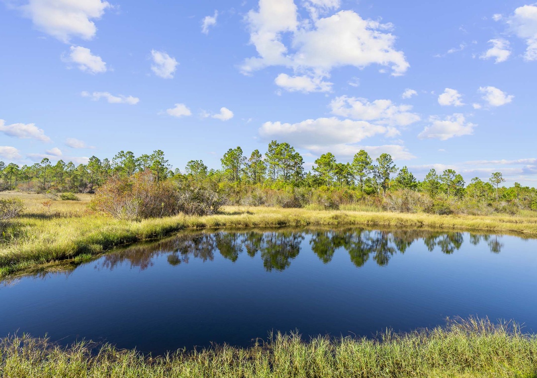 Lake views from the patio