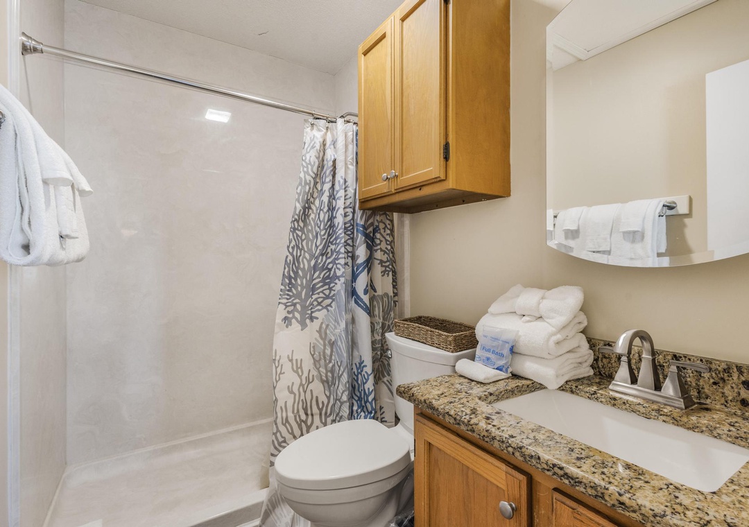 Primary ensuite bathroom with walk-in shower