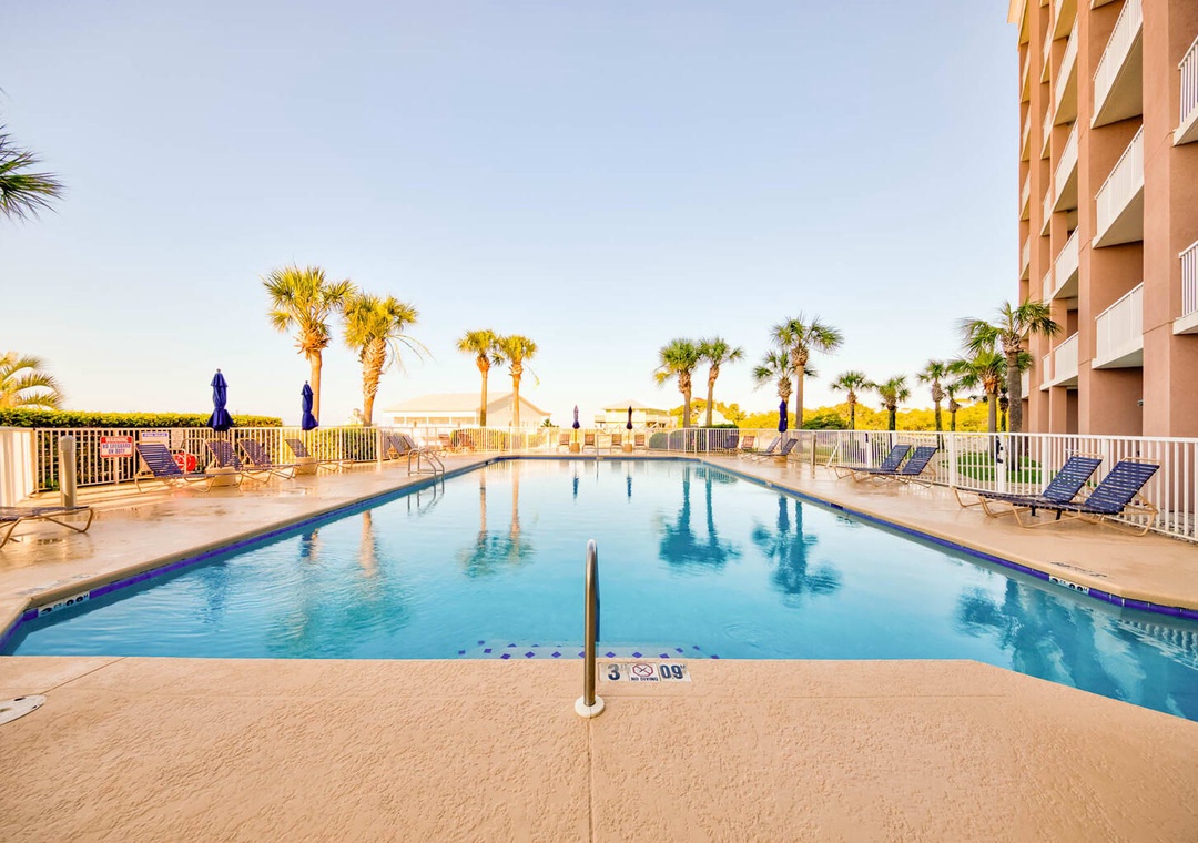 Palms surround the outdoor pool