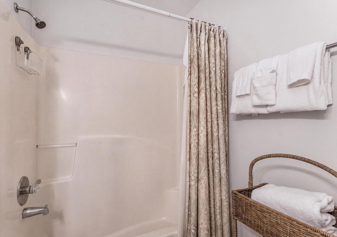Guest bathroom