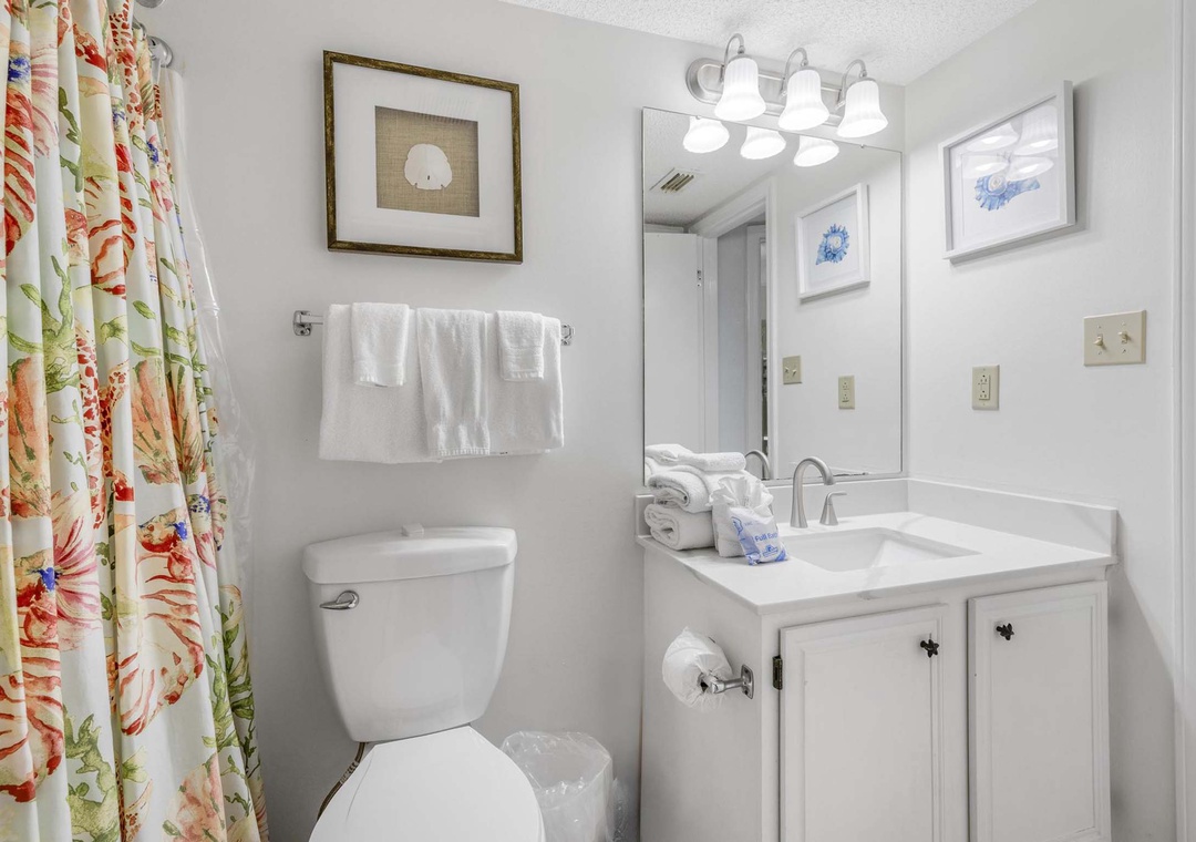 Guest bathroom with shower/tub combo
