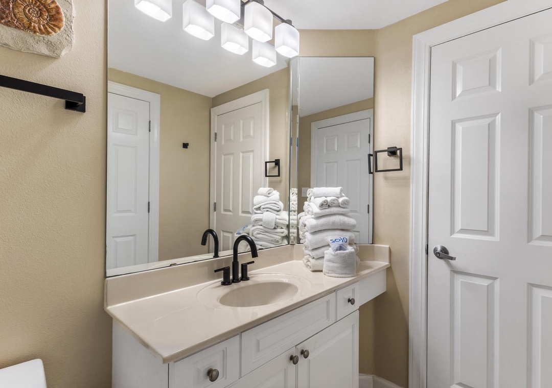 Guest bathroom 2