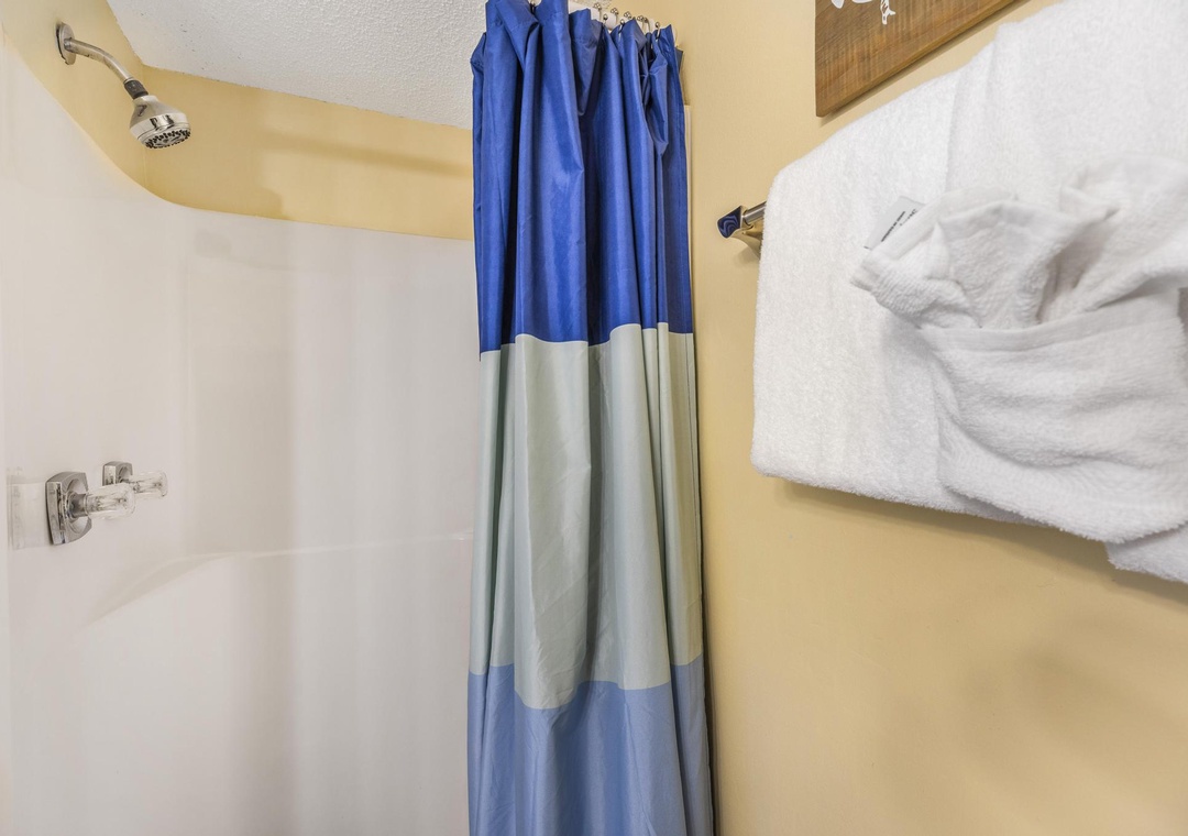 Hall bathroom shower