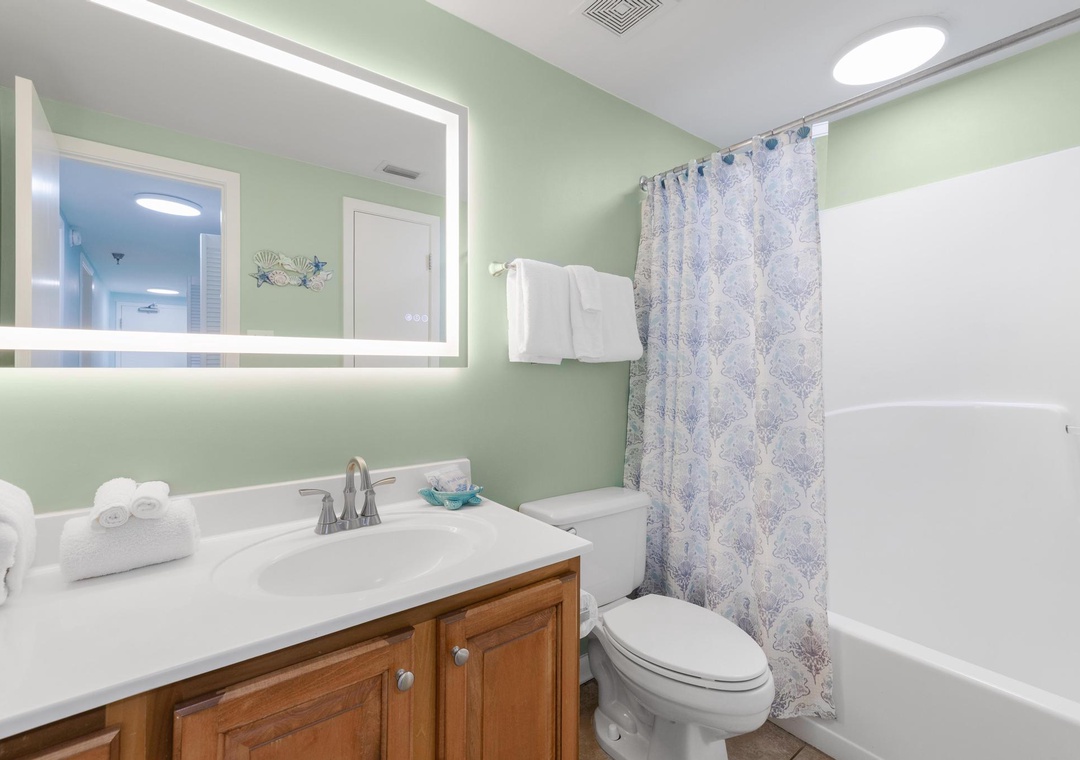 Guest bathroom with shower/tub combo