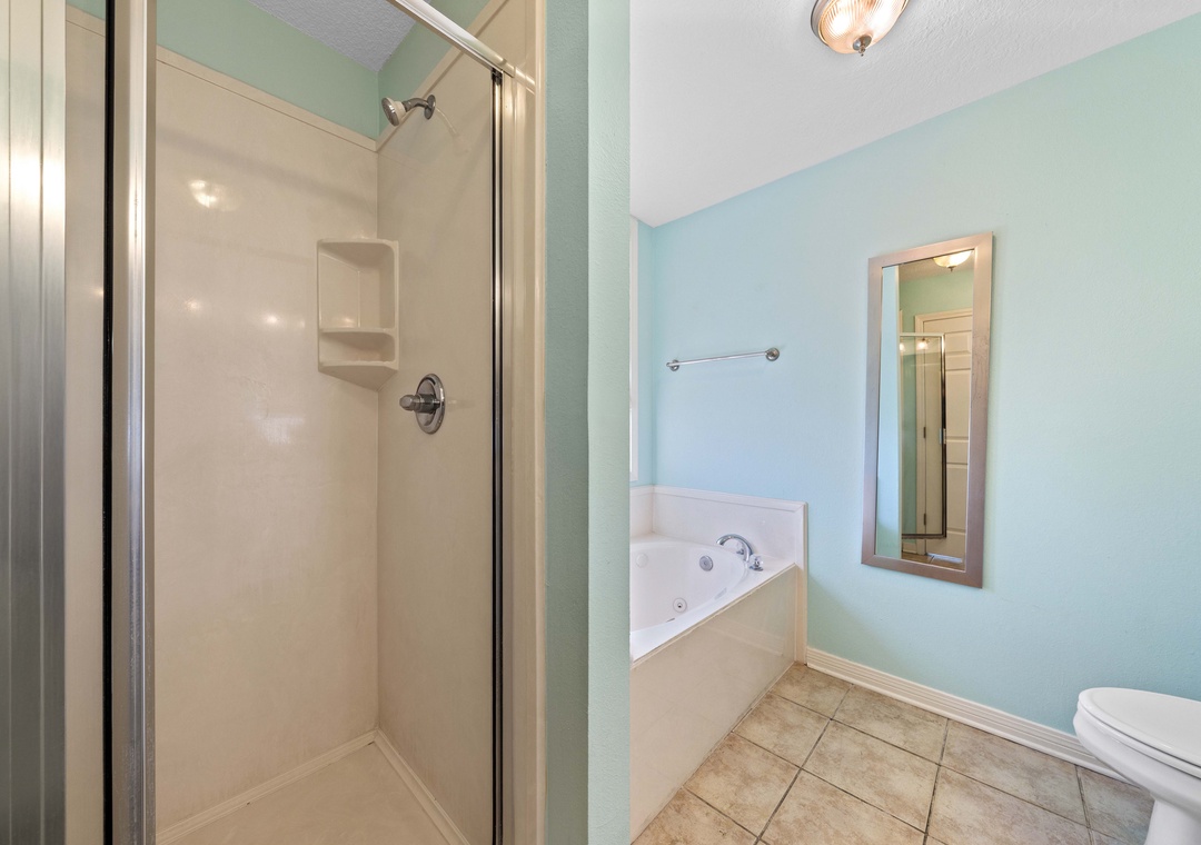 Primary ensuite bathroom with walk-in shower