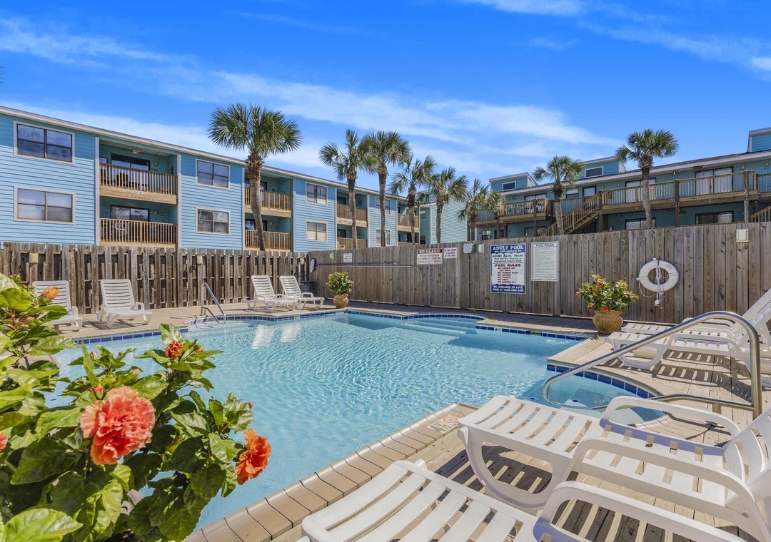 Community pool surrounded by palm trees