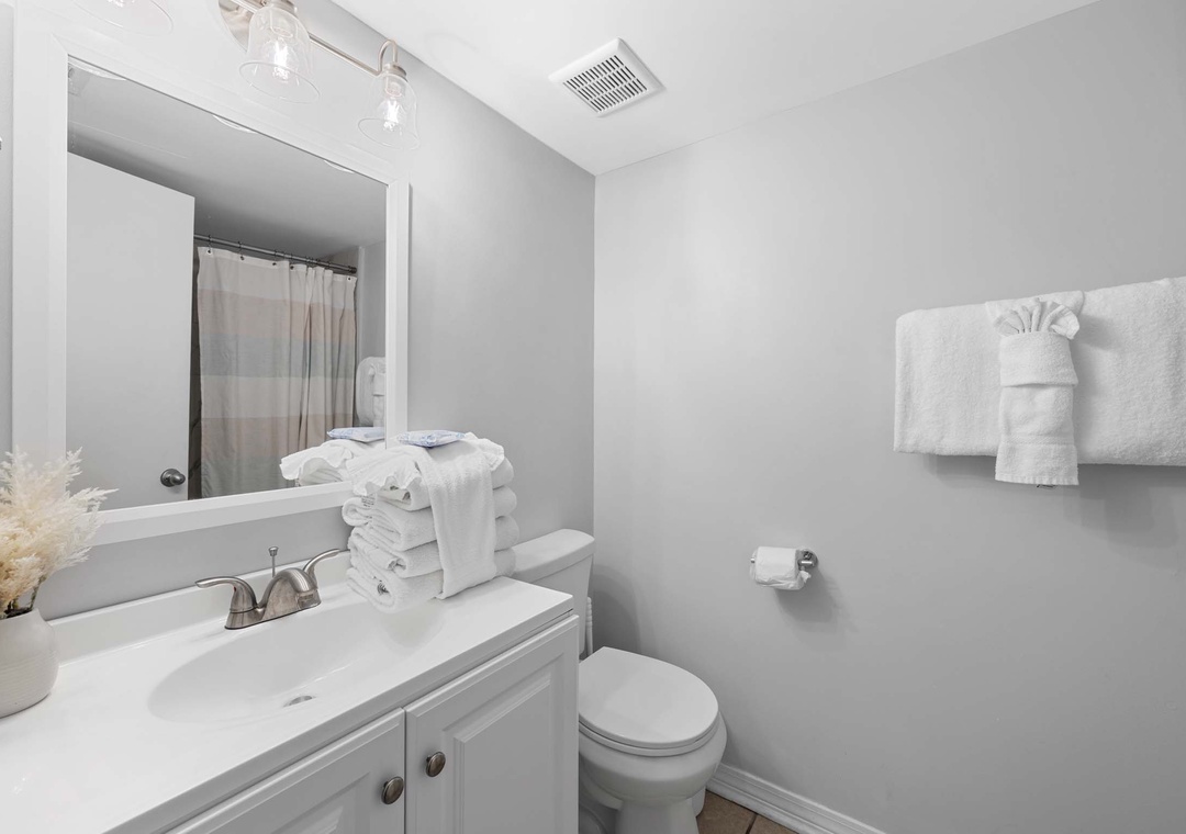 Guest bathroom