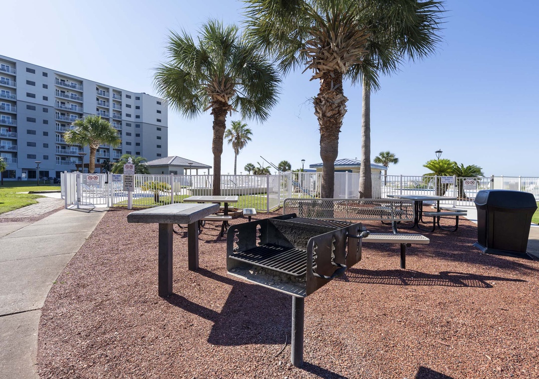 Picnic and grilling area
