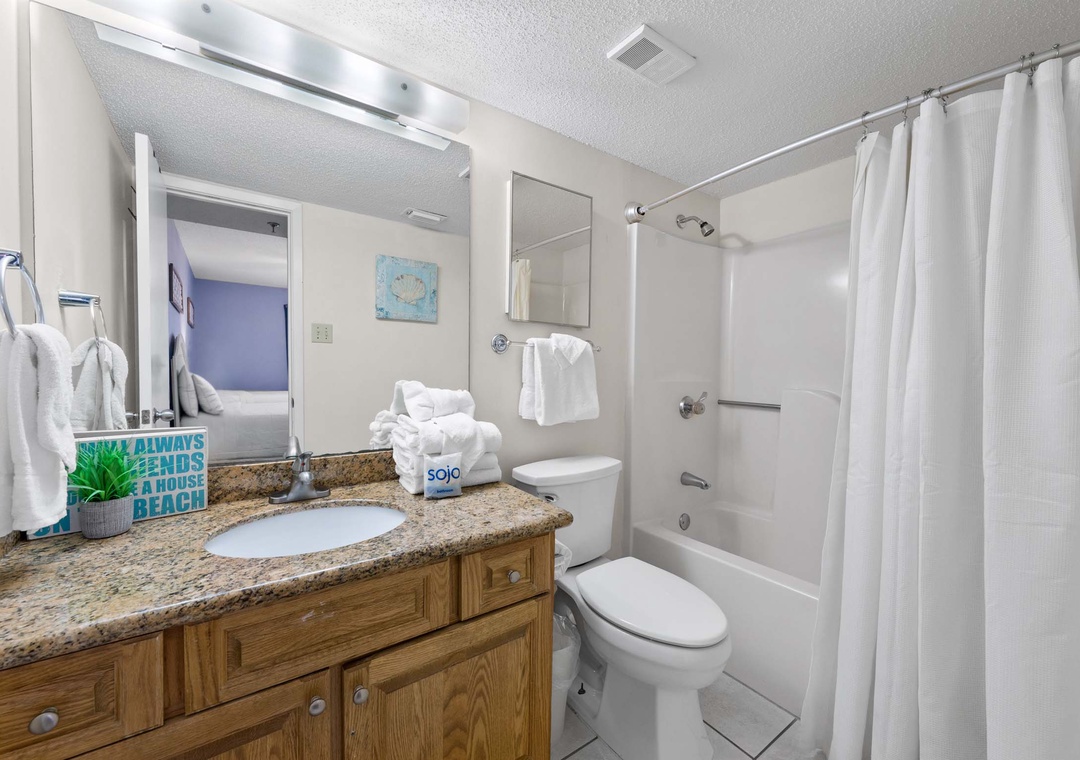 Guest bathroom with shower/tub combo