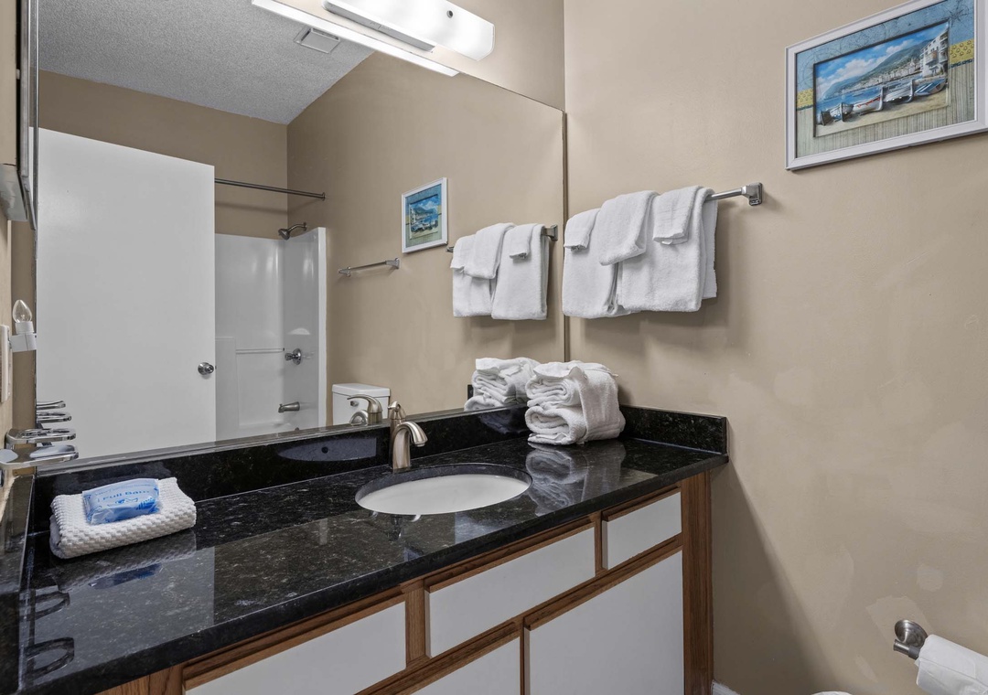 Guest bathroom