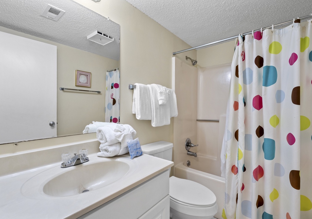 Guest bathroom 2