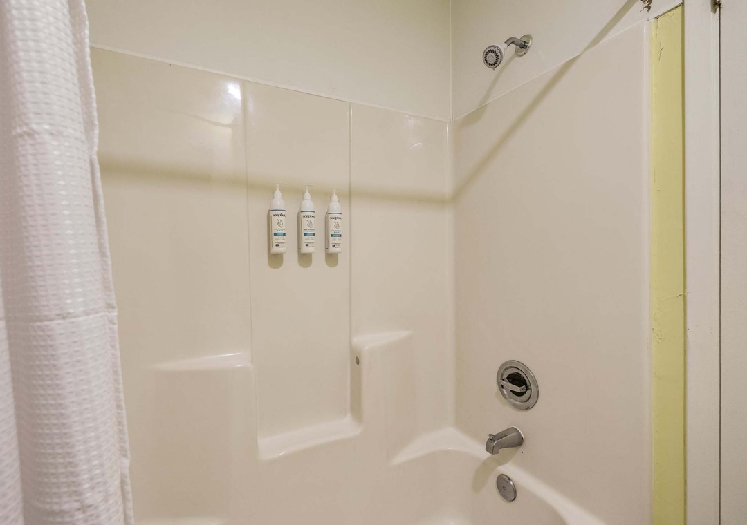 Guest bathroom shower/tub combo