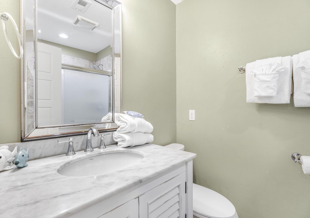 Guest bathroom