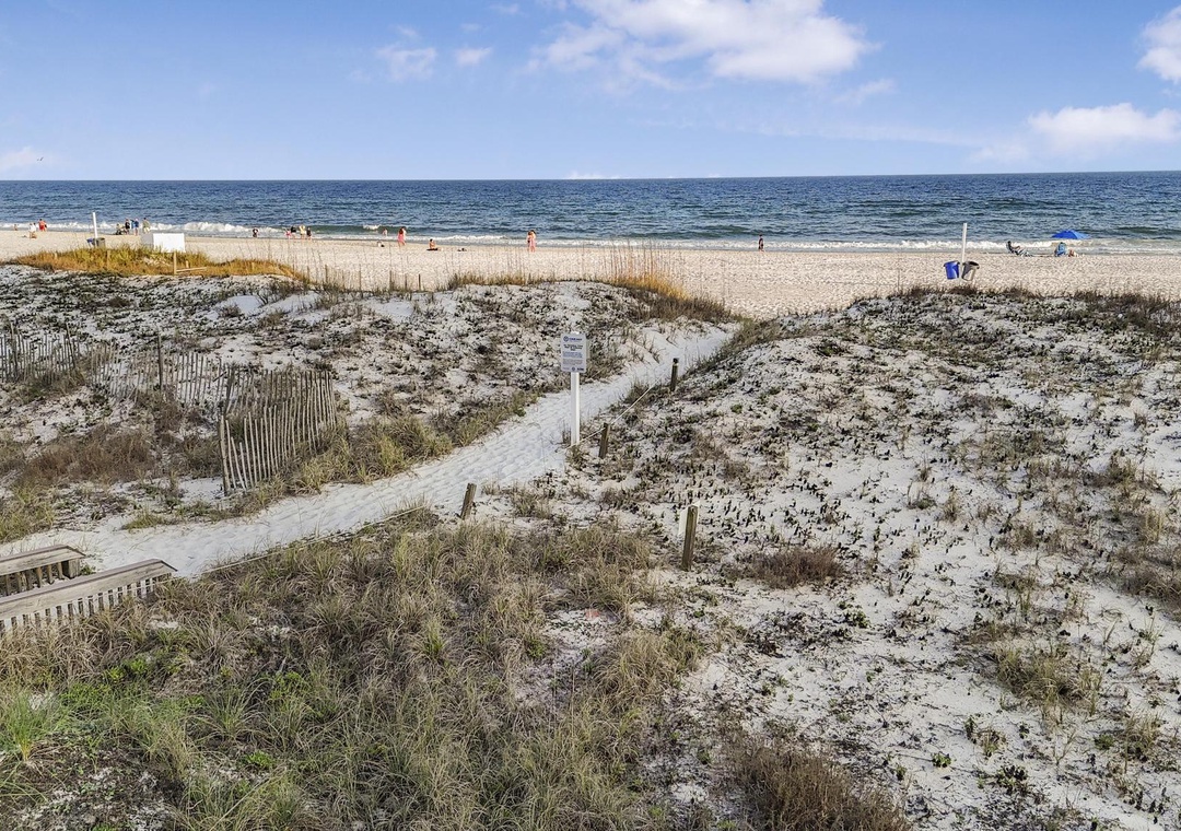 Take a stroll down to the beach!
