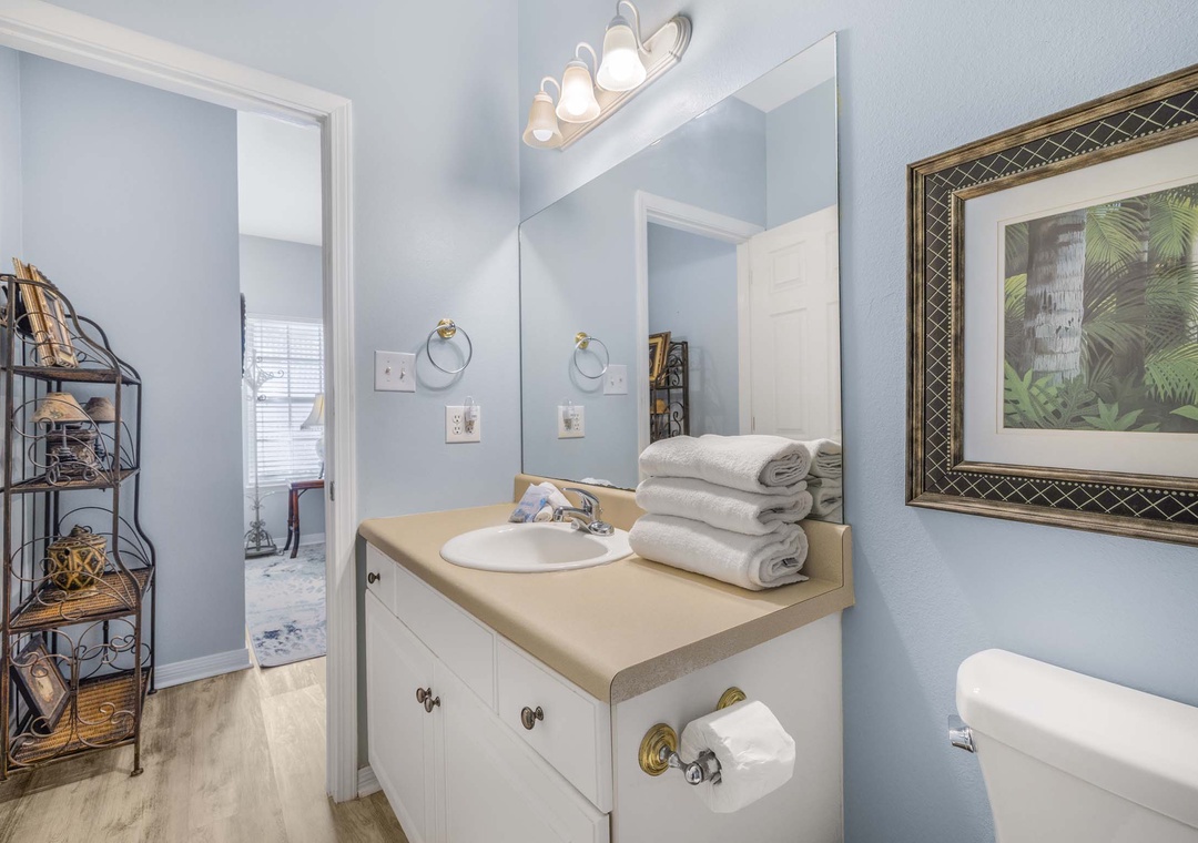 Guest bathroom