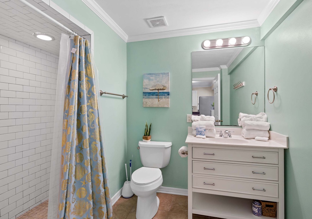 First floor guest bathroom 2