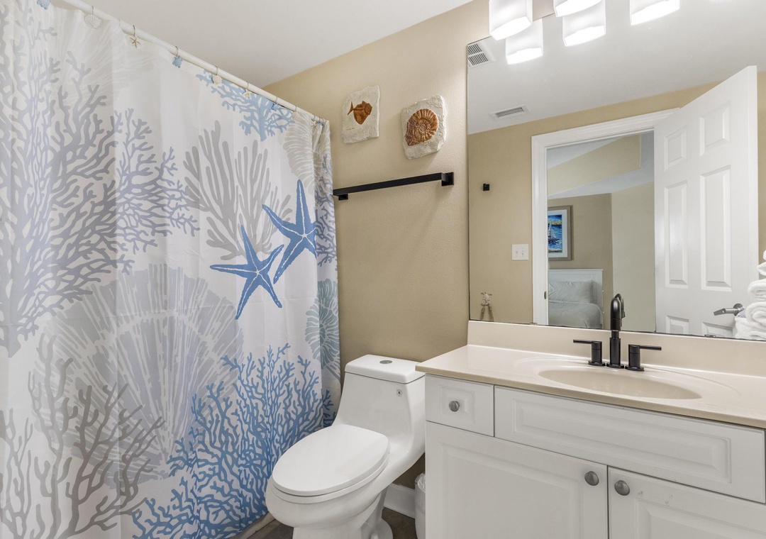 Guest bathroom 2