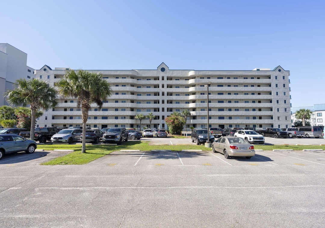 Plantation Palms