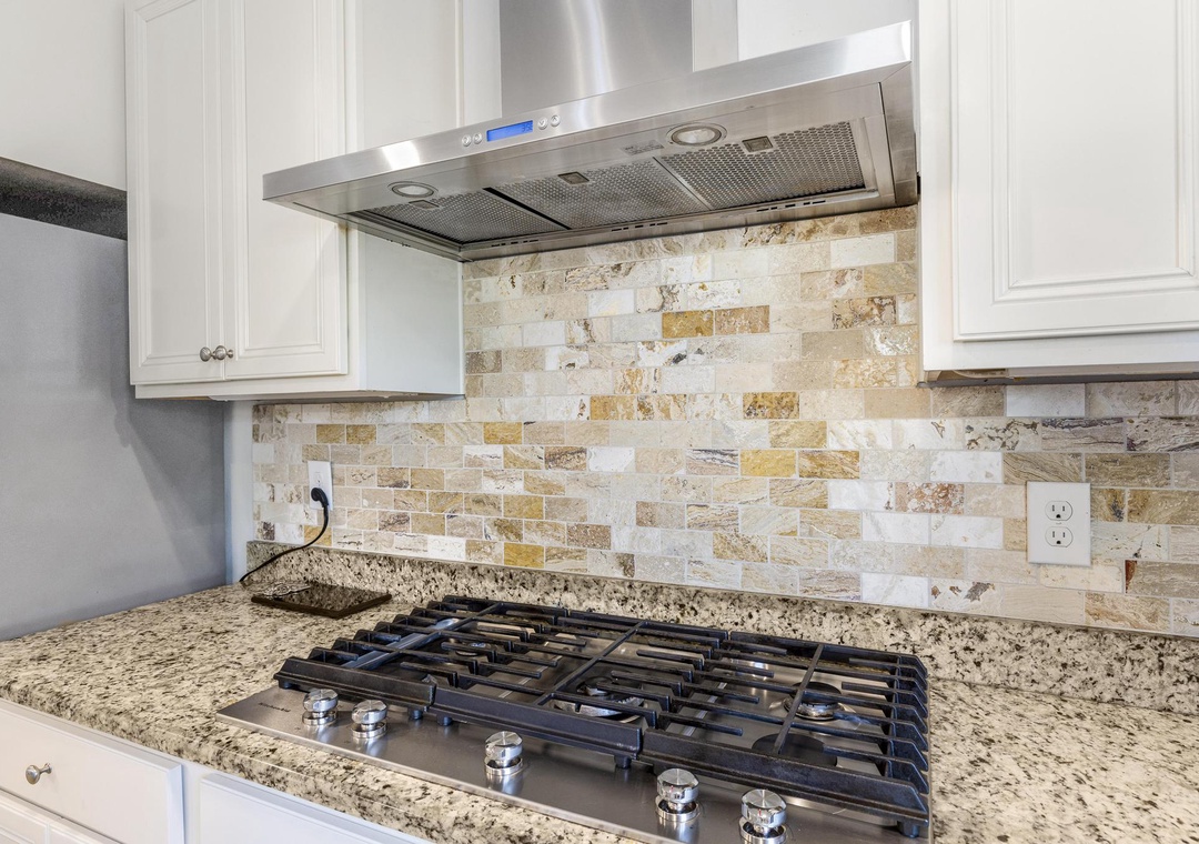 Gas stove