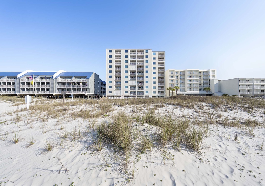 Beachfront Castaways
