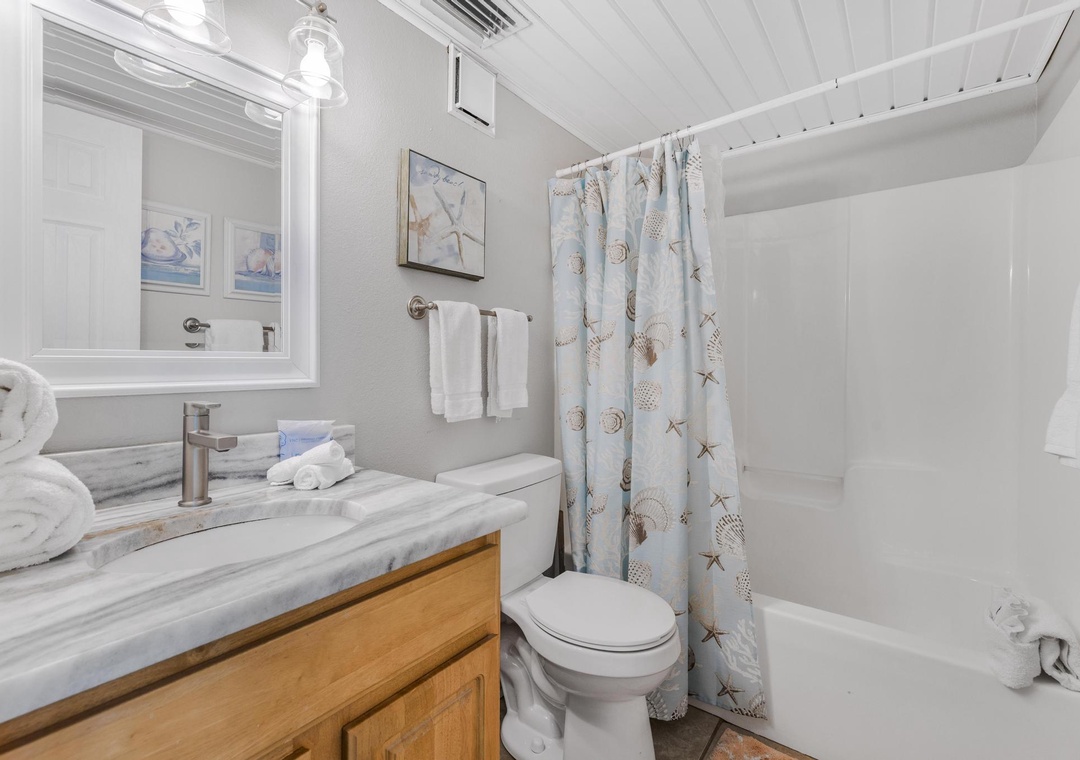 Guest bathroom with shower/tub combo