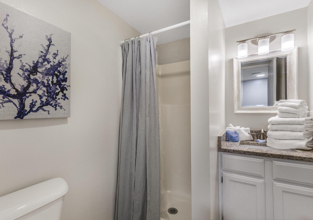Guest full bathroom
