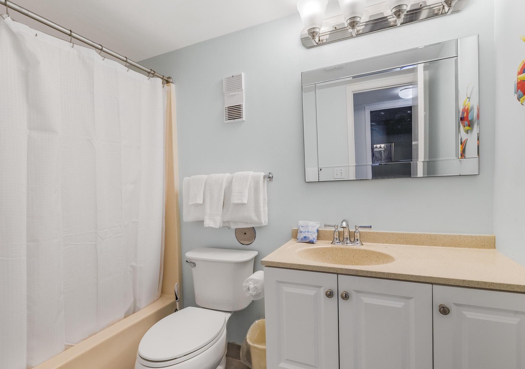 Guest bathroom with shower/tub combo