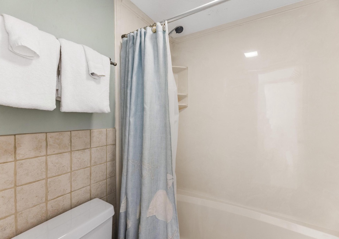 Guest bathroom with shower/tub combo