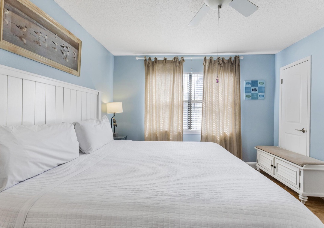 Primary bedroom with natural light