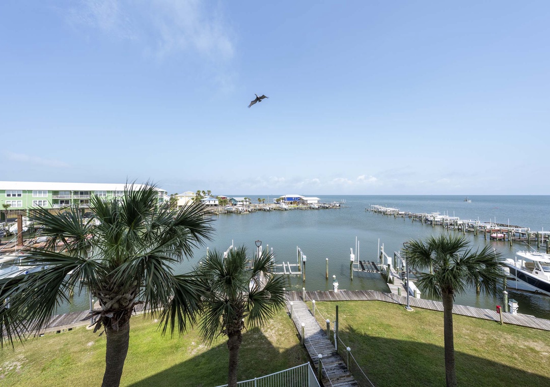 Watch the boats go by at Navy Cove Harbor 1206