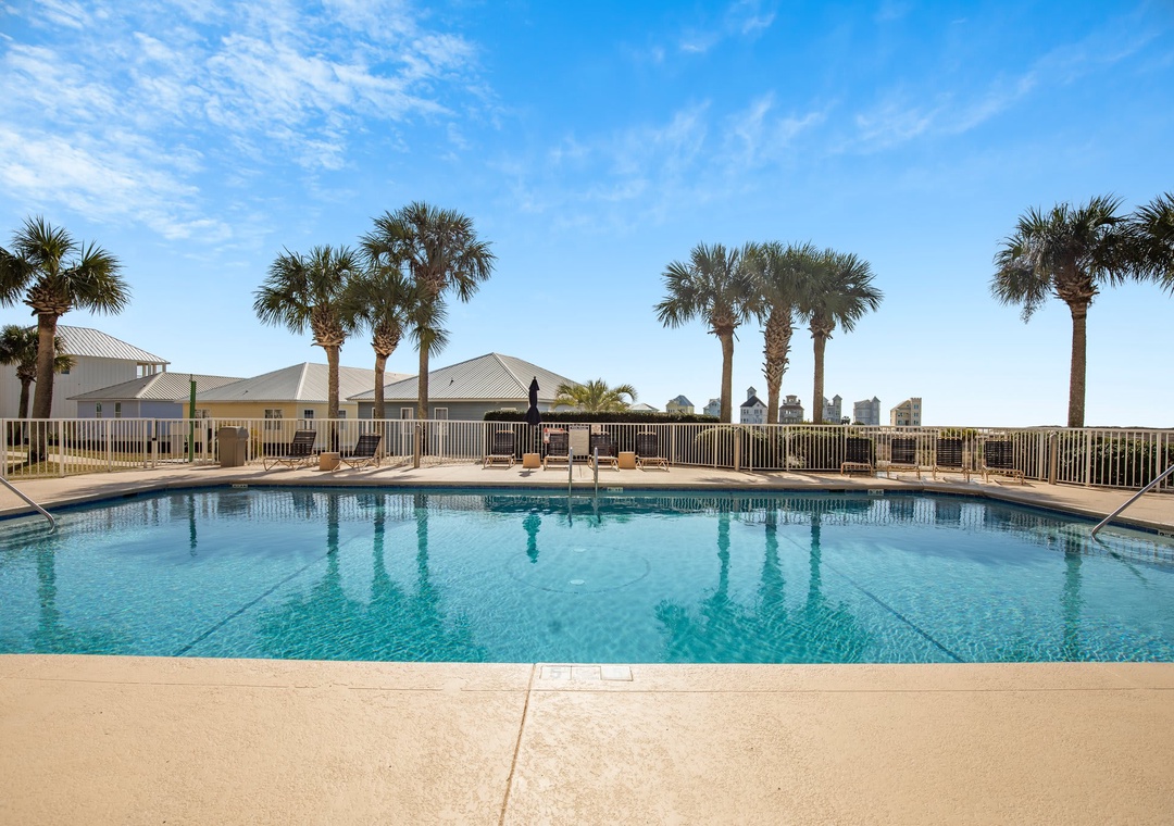 Beautiful palm trees surround the outdoor pool
