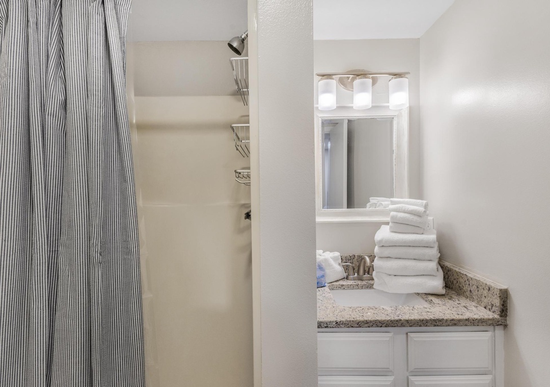 Guest full bathroom